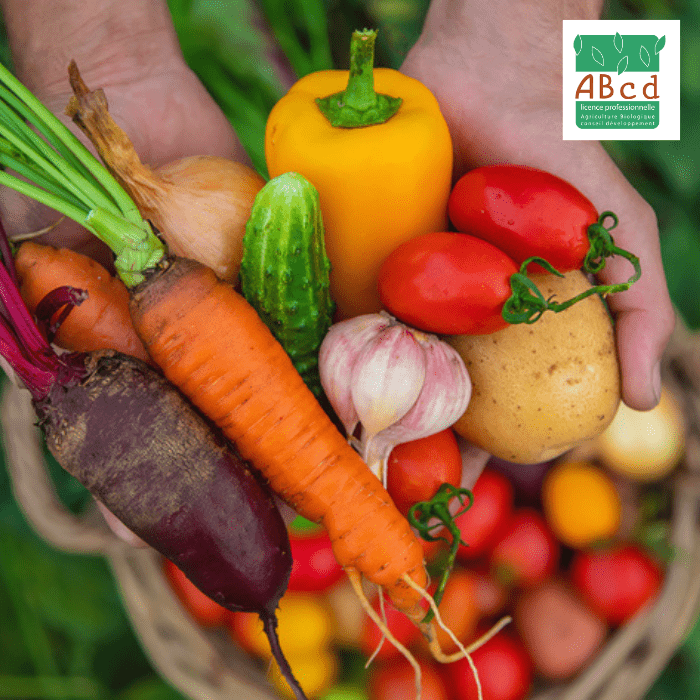Image de légumes issus de l’agriculture biologique avec le logo de la licence pro ABCD